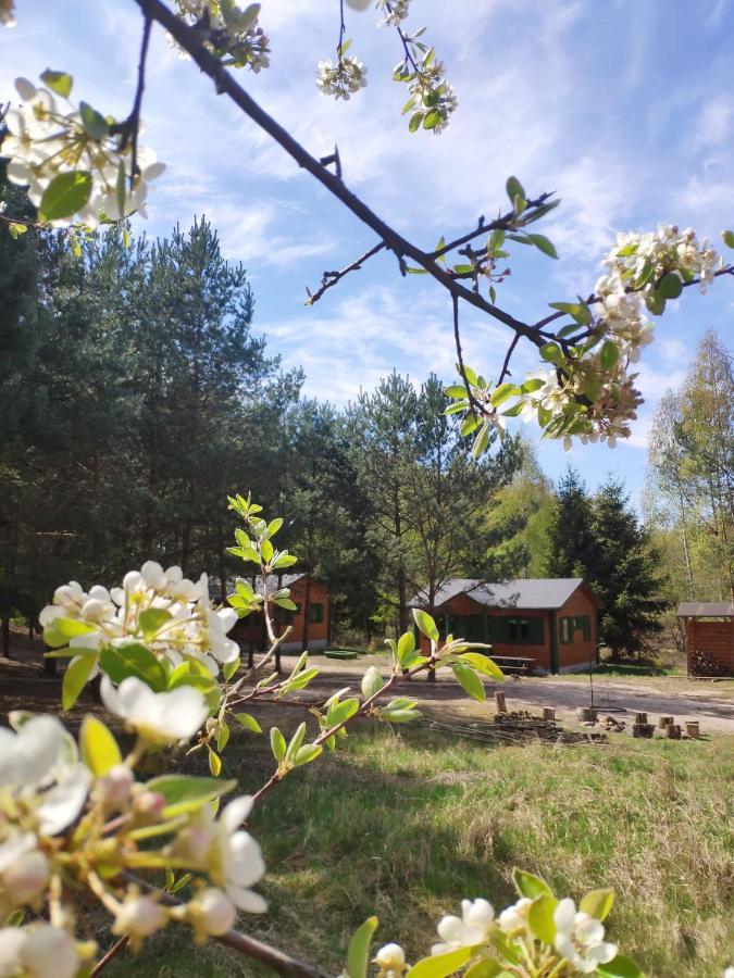 Agroturystyka Oaza Ciszy I Spokoju Miedzychod Exterior photo