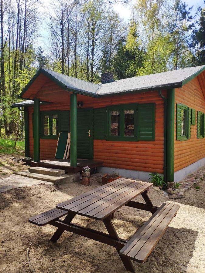 Agroturystyka Oaza Ciszy I Spokoju Miedzychod Exterior photo