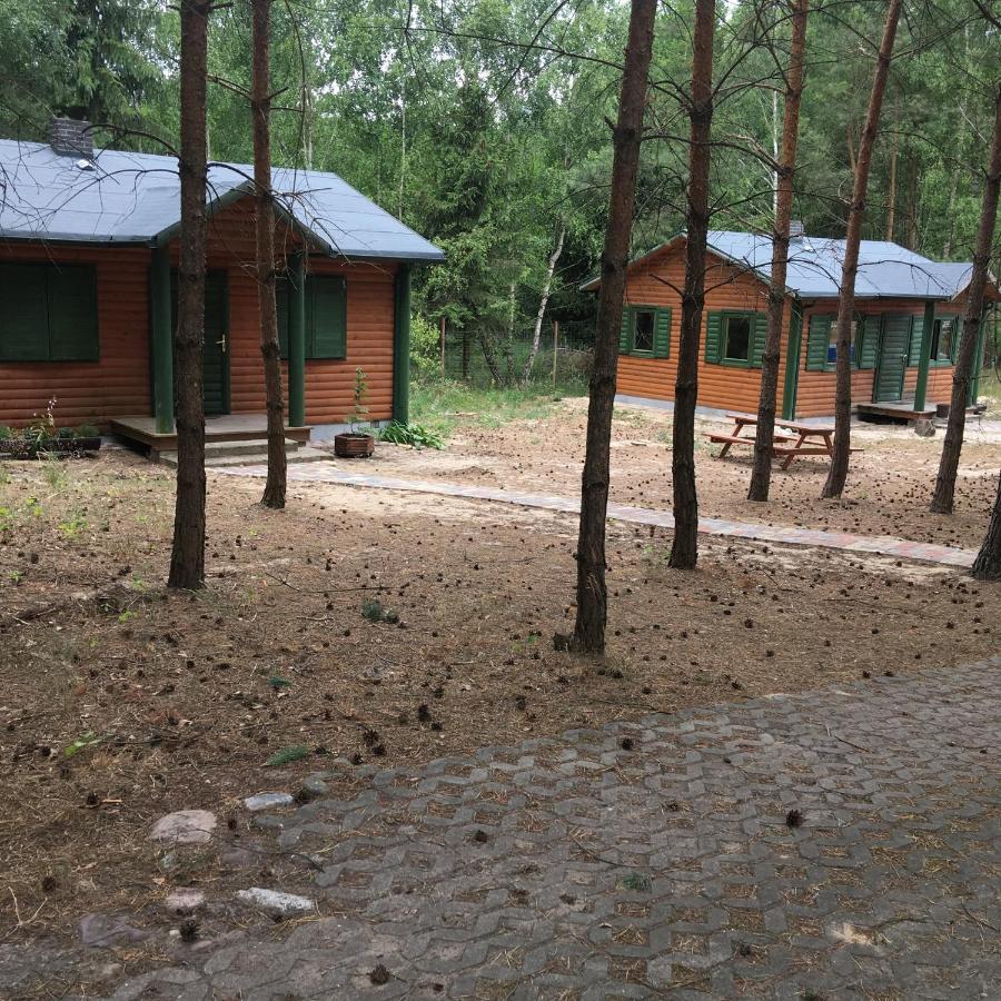 Agroturystyka Oaza Ciszy I Spokoju Miedzychod Exterior photo