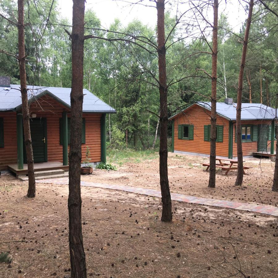 Agroturystyka Oaza Ciszy I Spokoju Miedzychod Exterior photo
