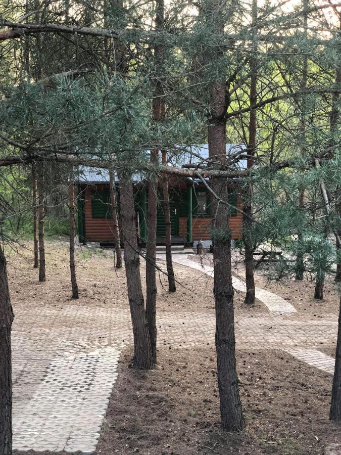 Agroturystyka Oaza Ciszy I Spokoju Miedzychod Exterior photo