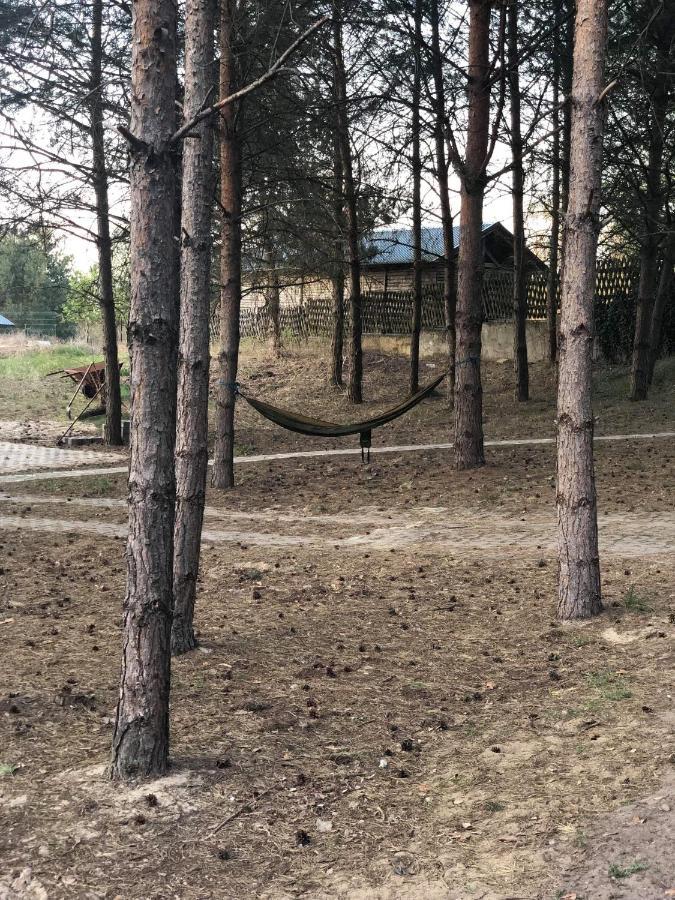 Agroturystyka Oaza Ciszy I Spokoju Miedzychod Exterior photo