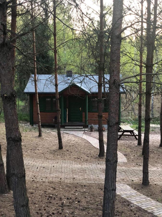 Agroturystyka Oaza Ciszy I Spokoju Miedzychod Exterior photo